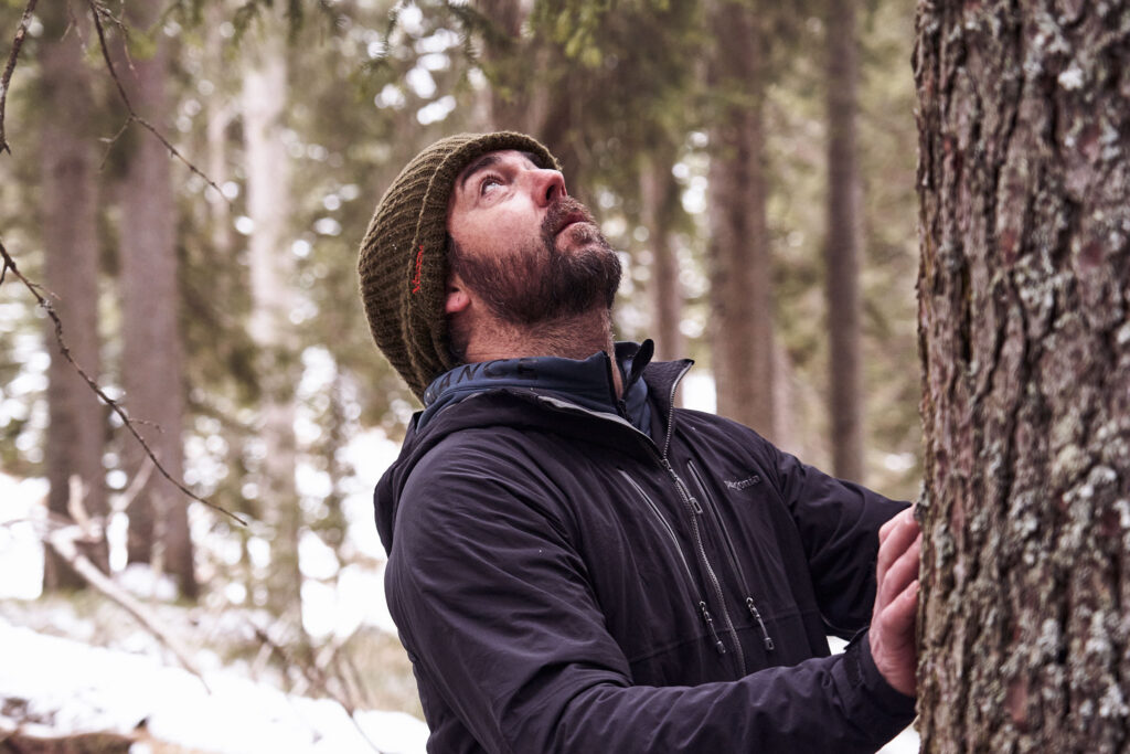 Thom Orgler, South Tyrolean luthier, inspecting a spruce in a snowy forest while selecting tonewood for his handcrafted guitars.